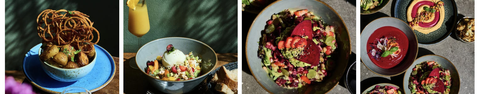 Website Belle Alliance Berlin 2026